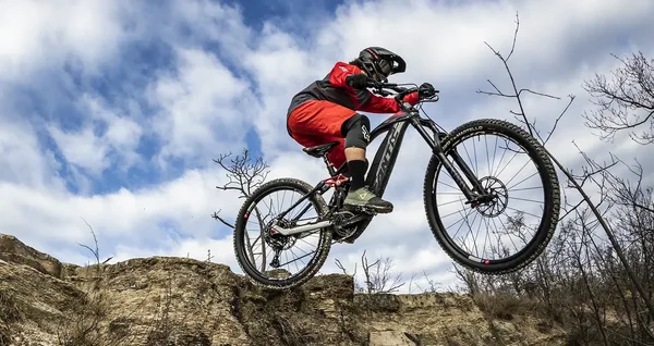 Fantic logo Enduro DH