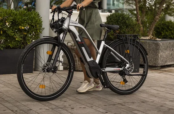 Velo electrique promotion Seven Days Easy Fantic 29