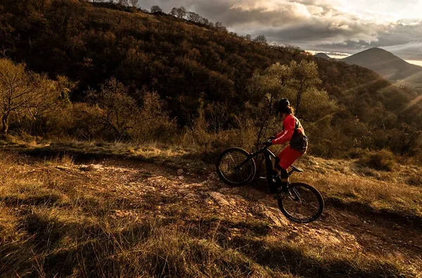 XMF 1 7 Carbon Brose Fantic 2022 10