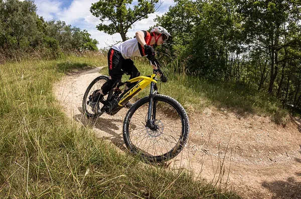 XTF 1 5 Bros Integra Fantic 2022 35